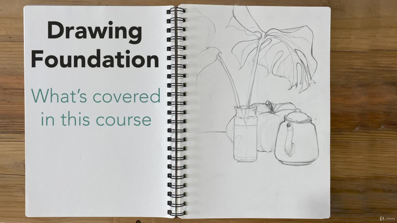 Skillshare Drawing Courses 2023 Which Ones Are The Best